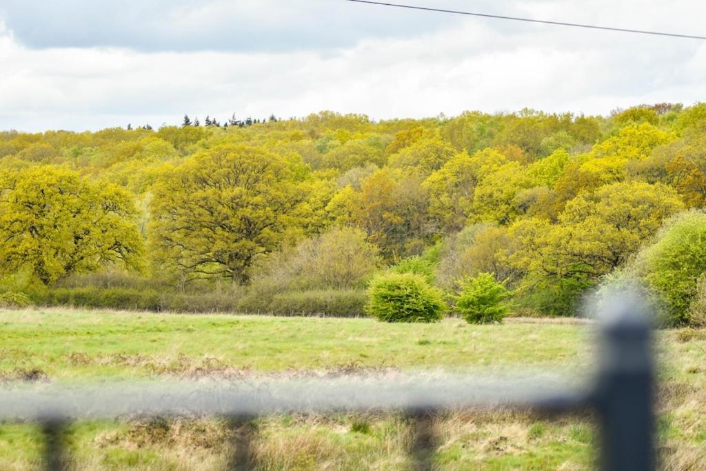 The Lookout At Cloatley Meadow Daire Hankerton Dış mekan fotoğraf